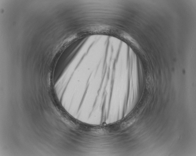 X0000060740454200512081922