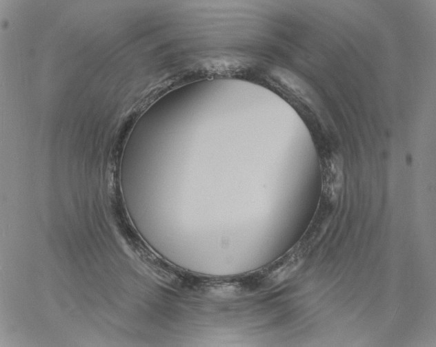 X0000060740456200512081922