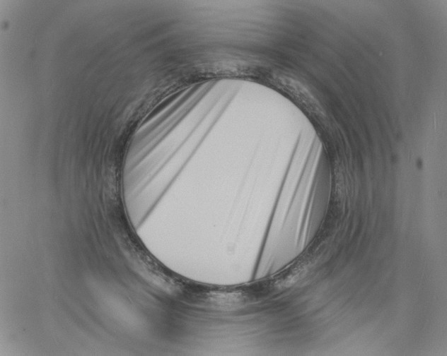 X0000060740457200512081922