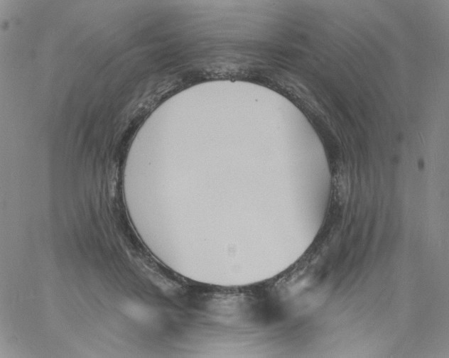 X0000060740458200512081922