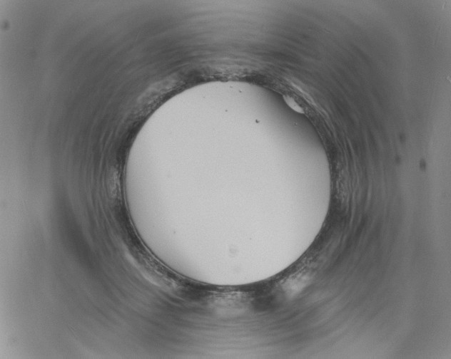 X0000060740459200512081922