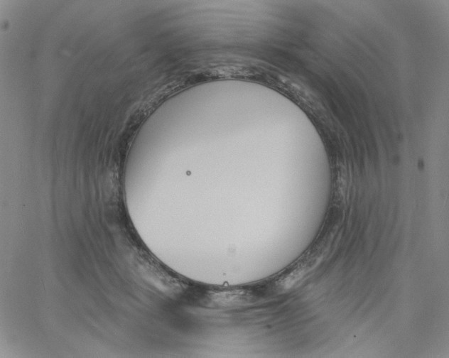 X0000060740461200512081922