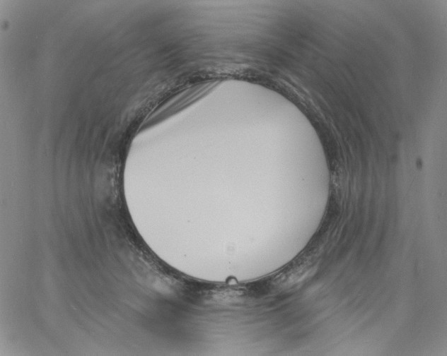 X0000060740462200512081922