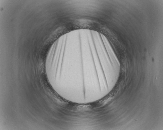 X0000060740465200512081922