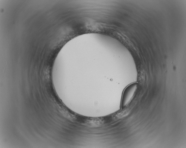 X0000060740466200512081922