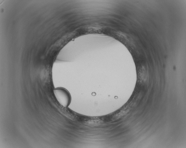 X0000060740468200512081922