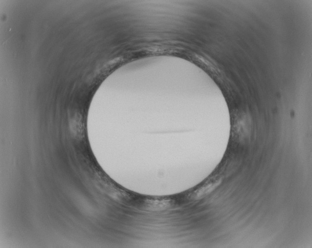 X0000060740469200512081922