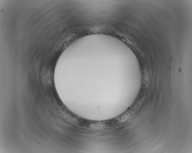 X0000060740470200512081922