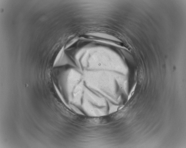 X0000060740473200512081922