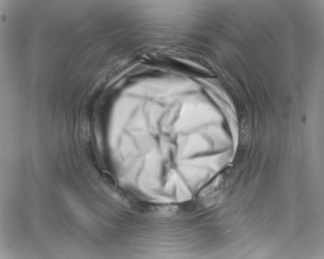 X0000060740474200512081922