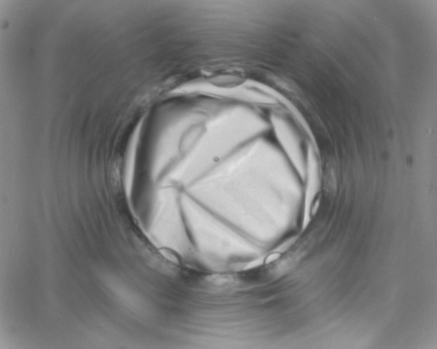 X0000060740477200512081922