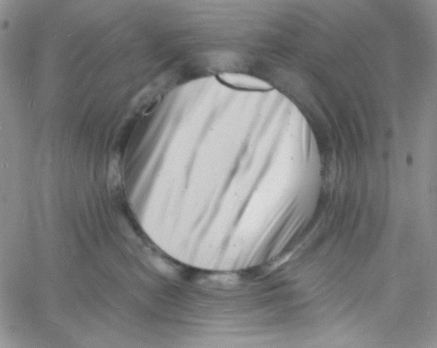 X0000060740478200512081922