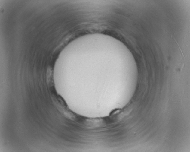 X0000060740480200512081922