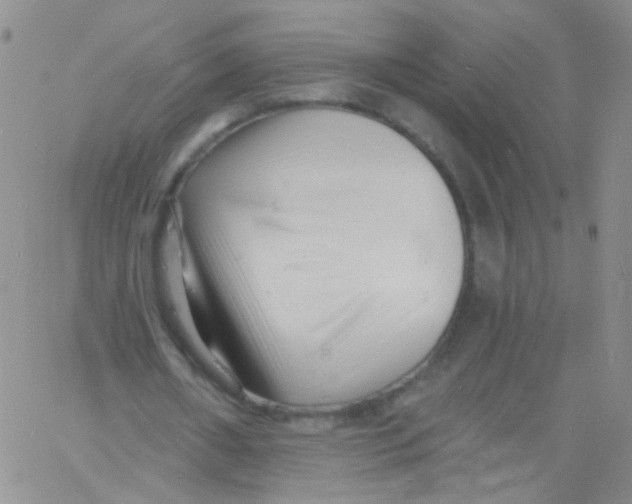 X0000060740482200512081922