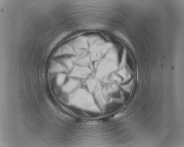 X0000060740483200512081921