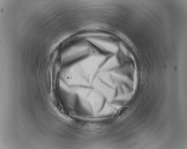 X0000060740485200512081921