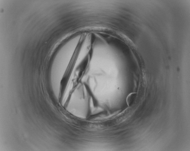 X0000060740487200512081921