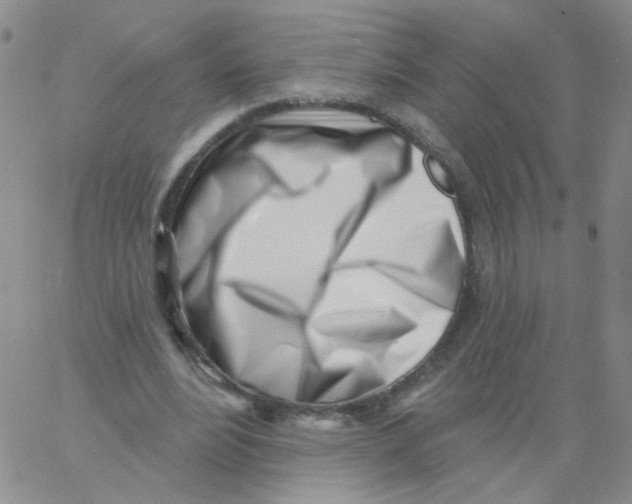 X0000060740488200512081921