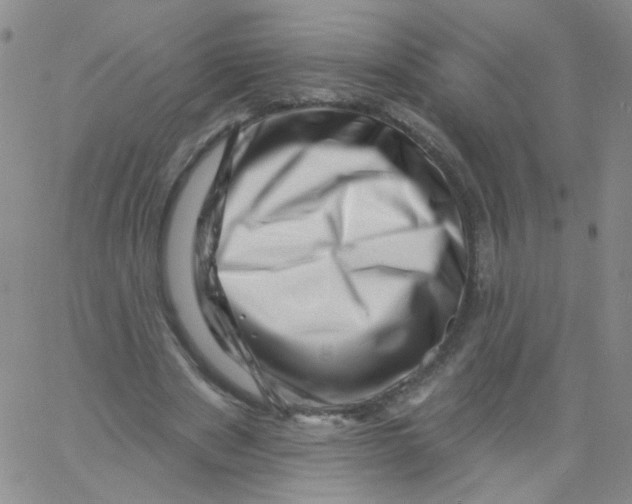 X0000060740489200512081921