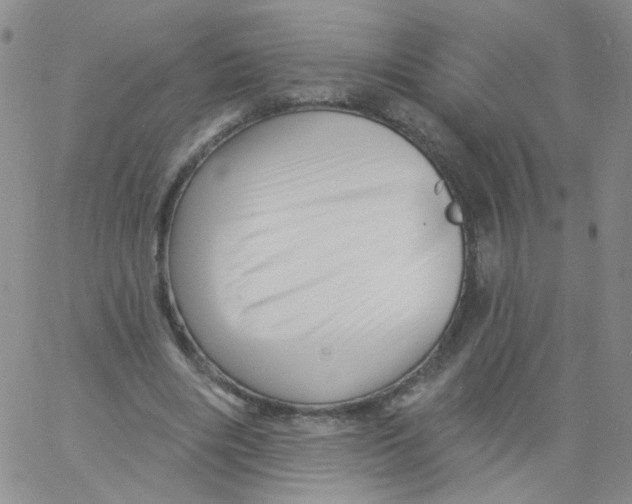 X0000060740490200512081921