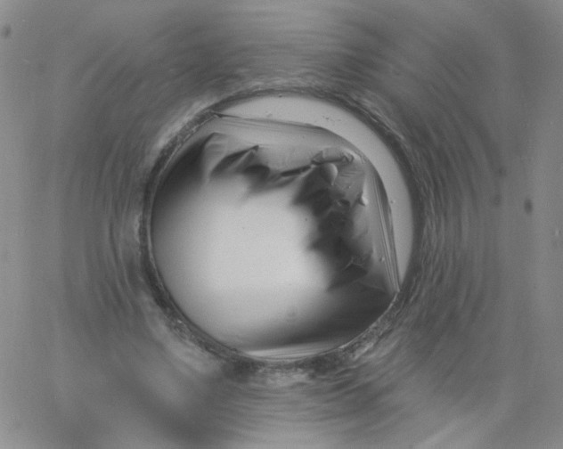 X0000060740491200512081921