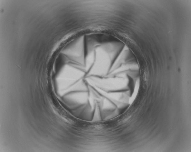 X0000060740492200512081921