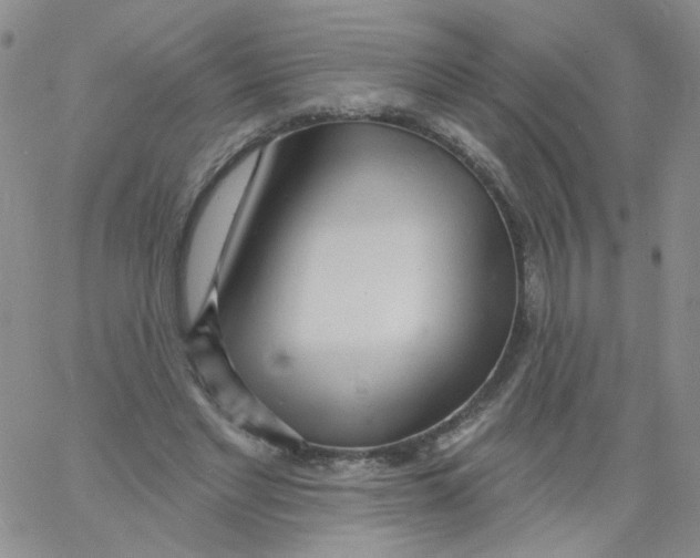 X0000060740493200512081921