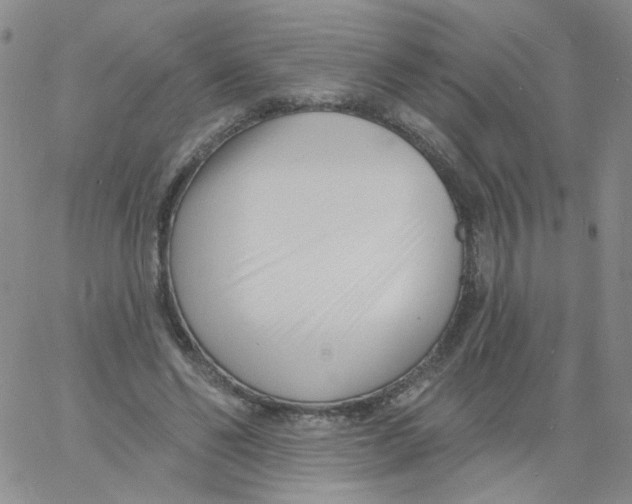 X0000060740494200512081921