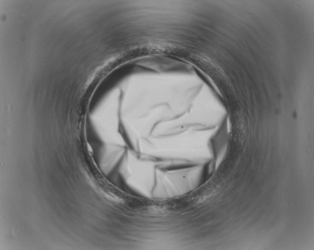 X0000060740496200512081921