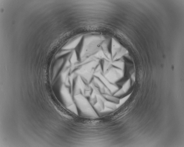 X0000060740497200512081921