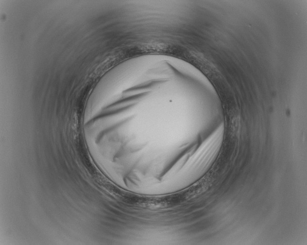 X0000060740498200512081921