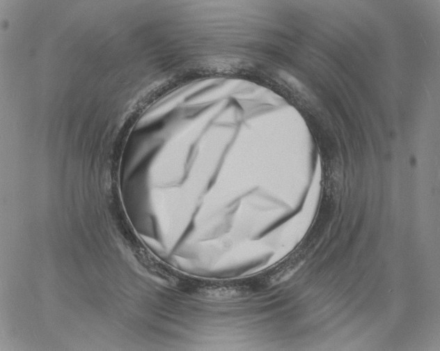 X0000060740500200512081921