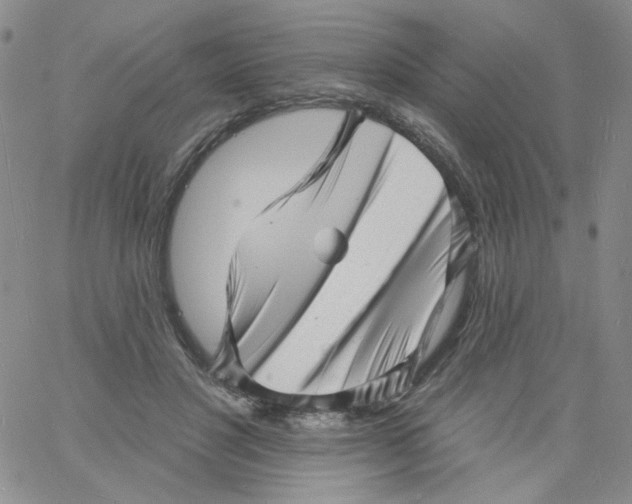 X0000060740501200512081921