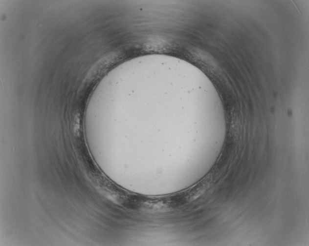 X0000060740502200512081921