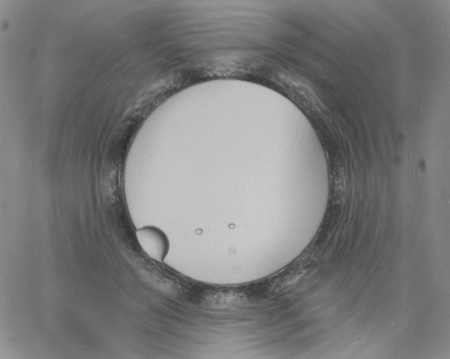 X0000060740503200512081921