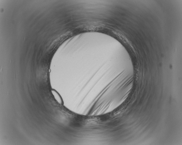 X0000060740505200512081921