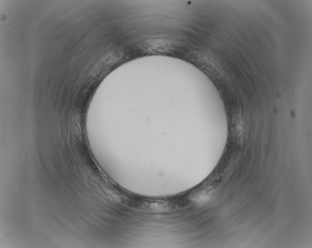 X0000060740506200512081921