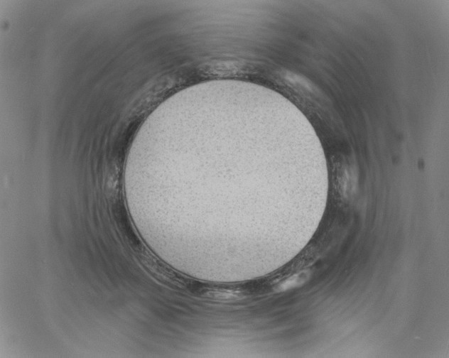 X0000060740507200512081921