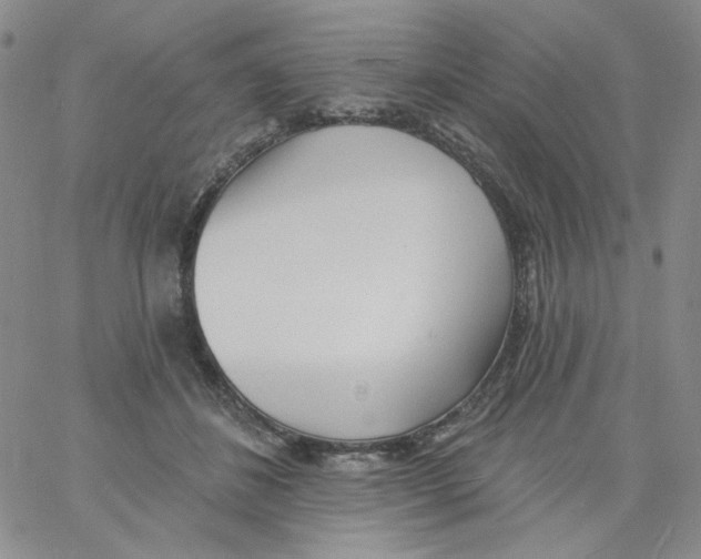 X0000060740508200512081921