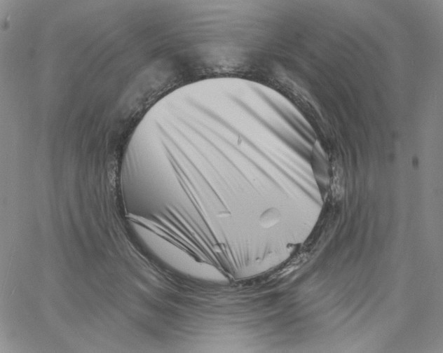 X0000060740509200512081921