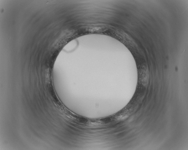 X0000060740510200512081921