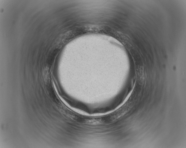 X0000060740511200512081921