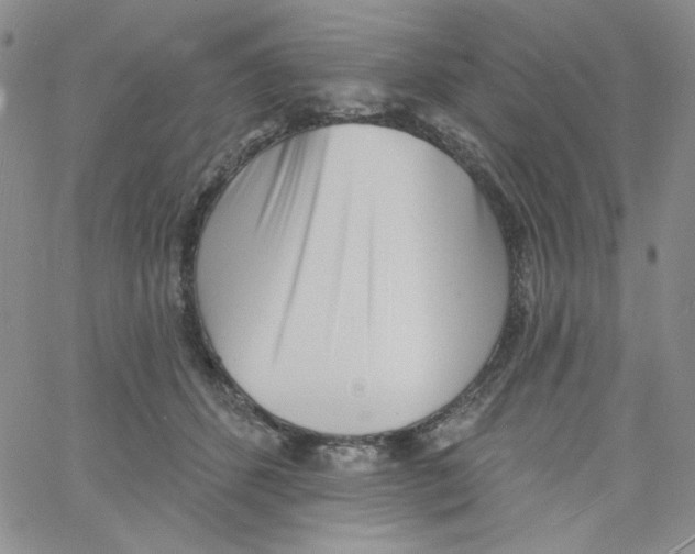 X0000060740512200512081921