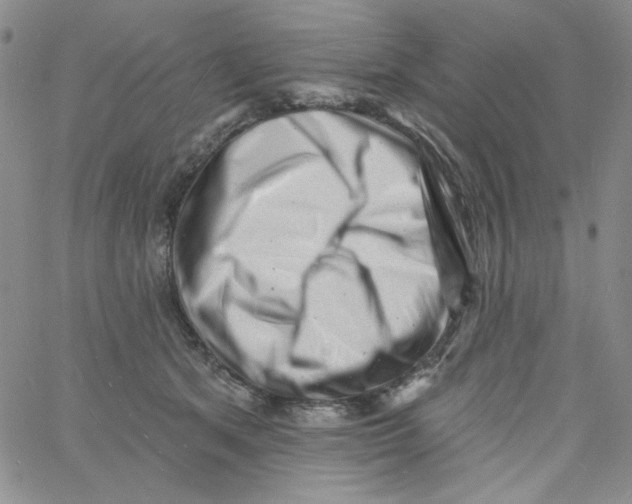 X0000060740513200512081921