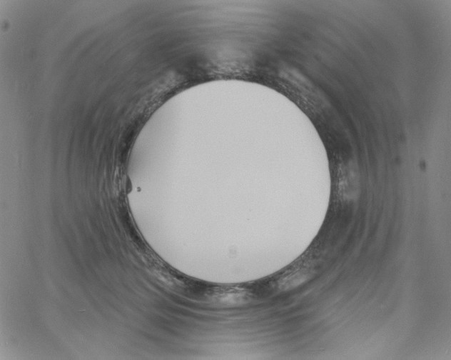 X0000060740514200512081921