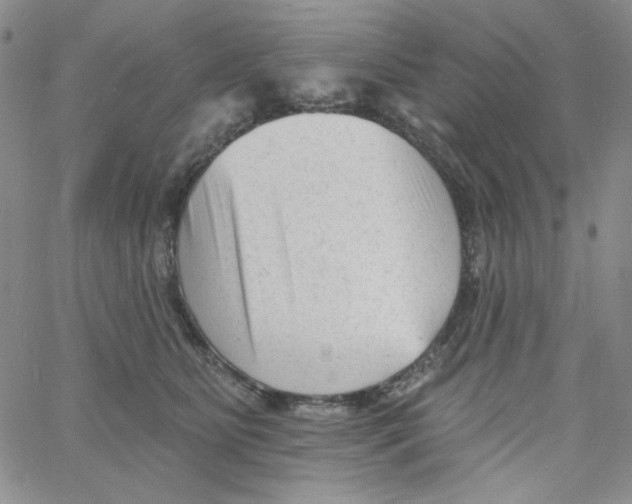 X0000060740515200512081921