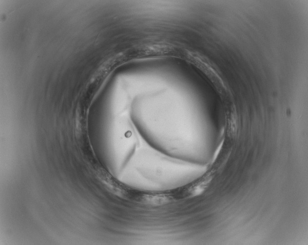 X0000060740520200512081921