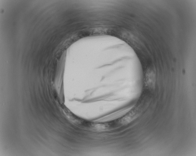 X0000060740522200512081921