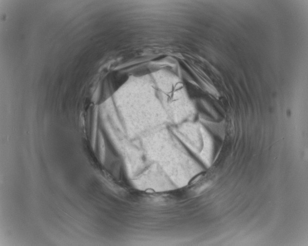 X0000060740523200512081921