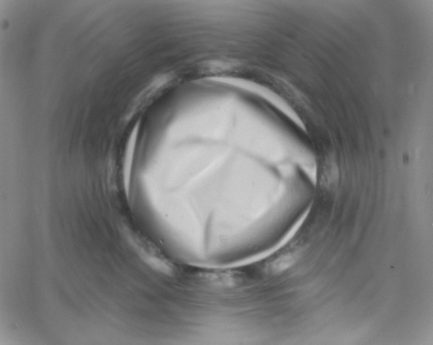 X0000060740524200512081921